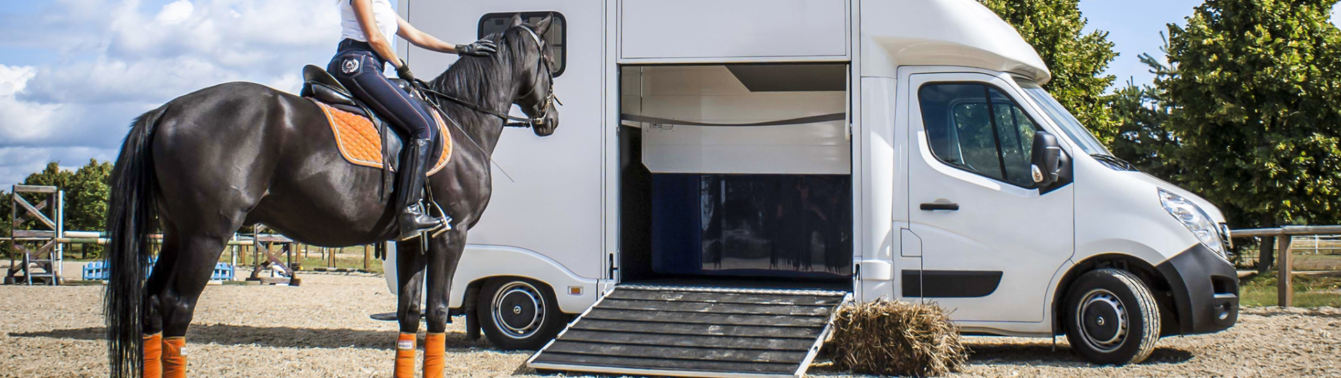 Photo : Opel Movano aménagée pour le transport de chevaux